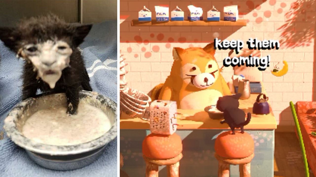 The viral cursed milk cat has been turned into a hilarious animation using Blender