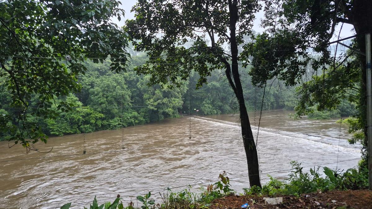 Kerala rains: Water level of major rivers in Ernakulam crosses warning mark