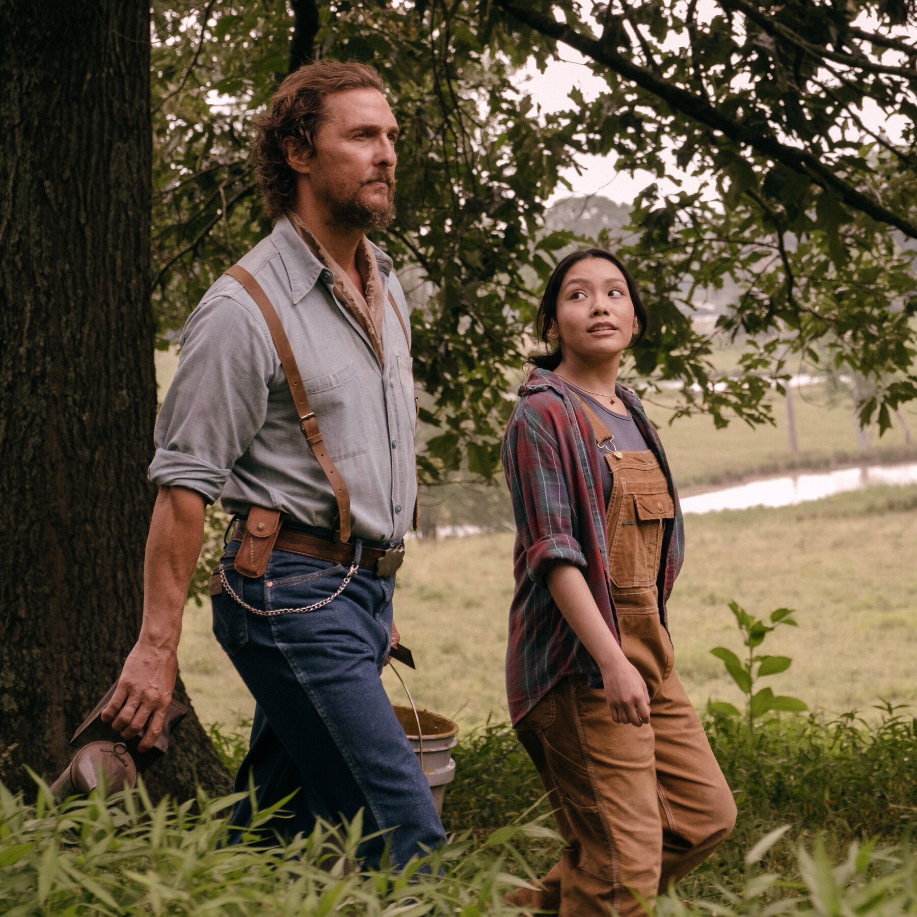 ‘The Rivals of Amziah King’ Review: The Banjos and the Bees