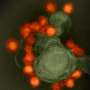 AI‑designed viruses are a test of whether biosecurity can keep pace