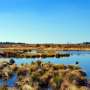 Putting out wildfires: How peat restoration has reduced fire risk in Indonesia's tropical forests