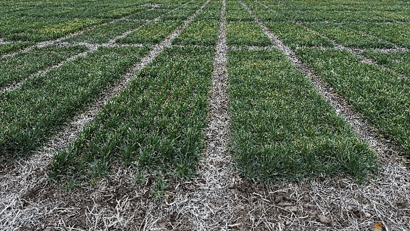 Syngenta files for Hong Kong IPO, aiming to raise at least $5 billion, sources say