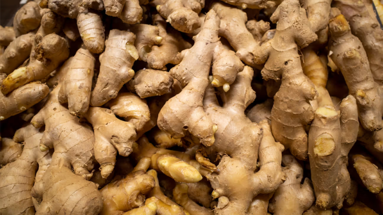GSS flags ginger price surge as investment opportunity