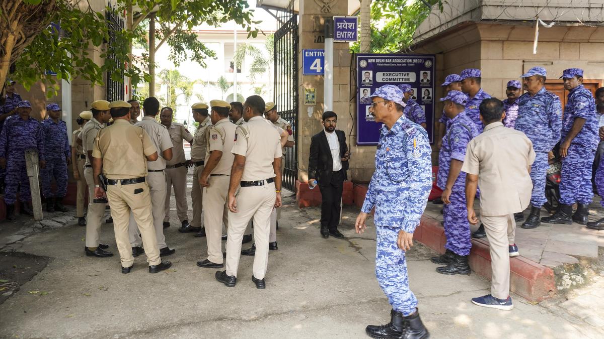 Delhi court grants three weeks’ interim bail to Hindutva influencer Swatantra Bhardwaj