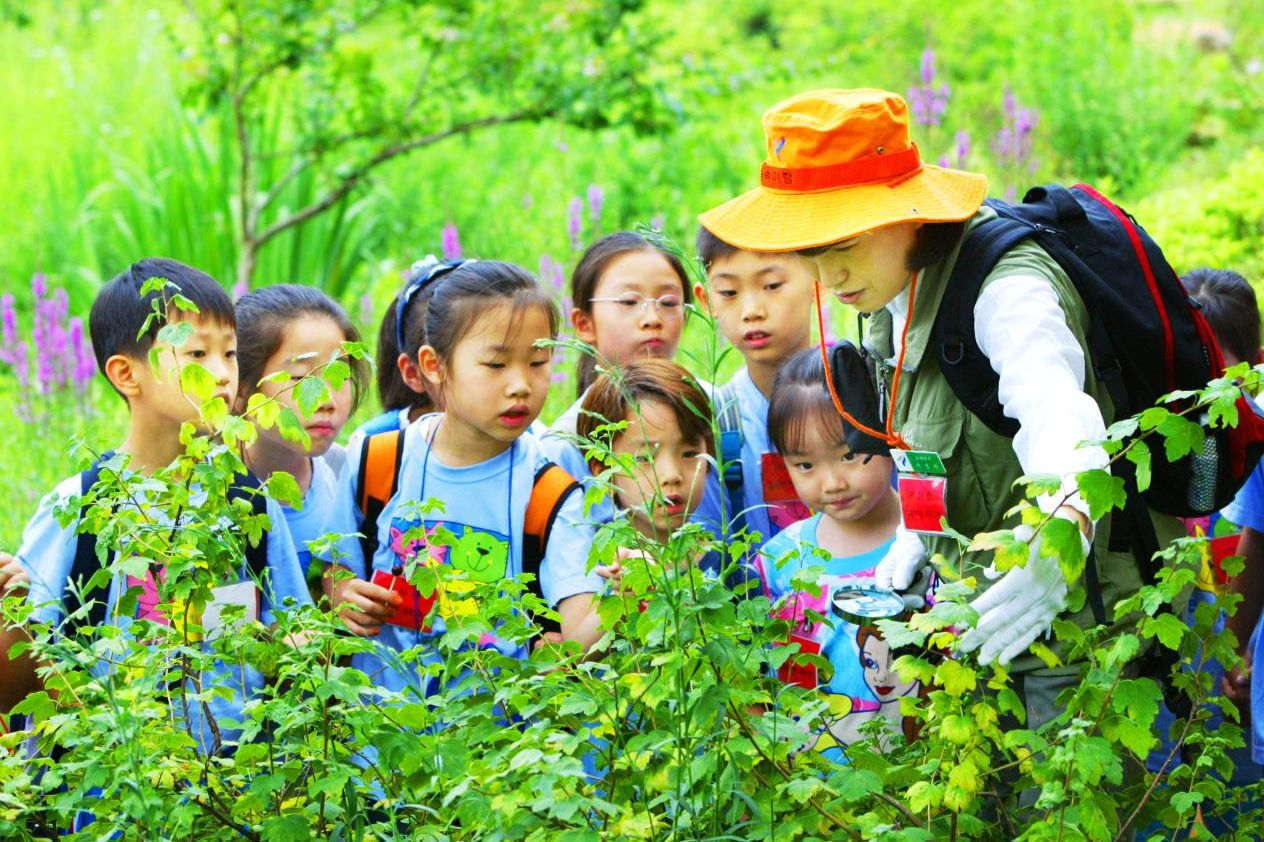 Seoul to launch 24-hour biodiversity exploration on Mount Acha