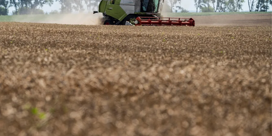 Russian strikes, shipping bottlenecks, and European embargoes choke Ukraine grain exports