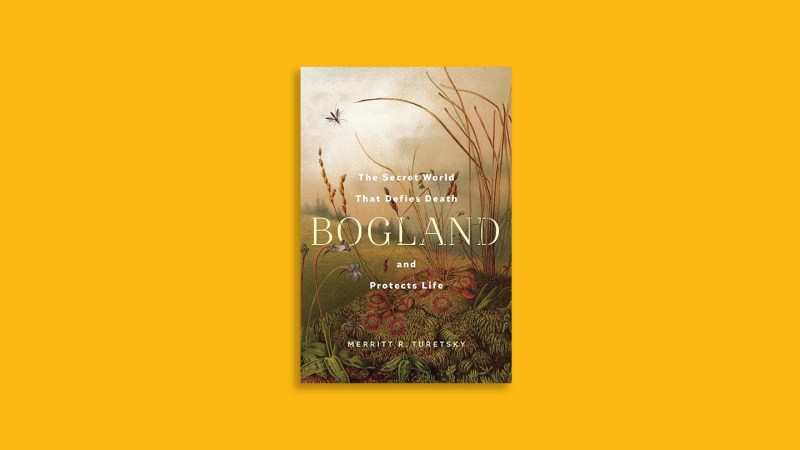‘Bogland’ explores beautifully strange ecosystems