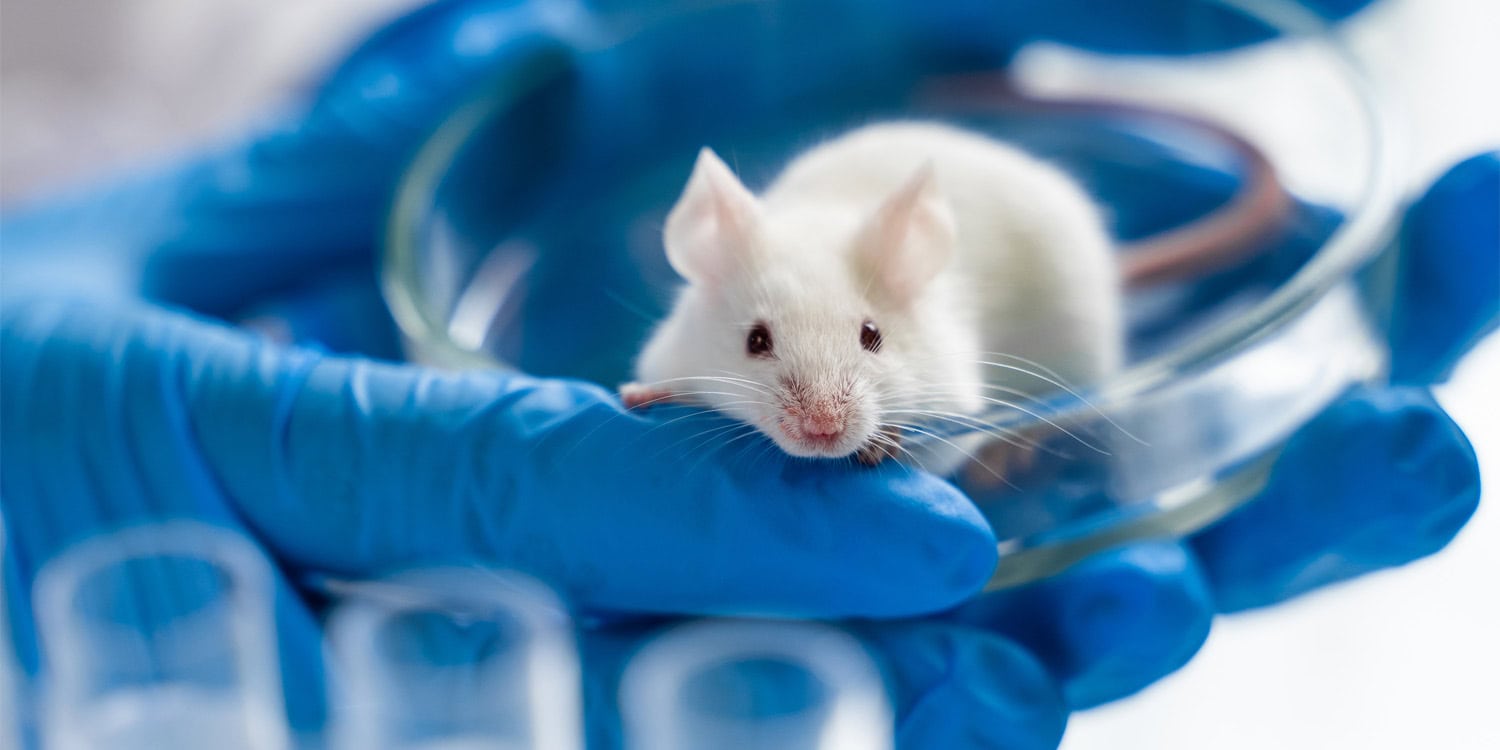 Single dose of rapamycin rapidly reduces autism-like traits in adult mice