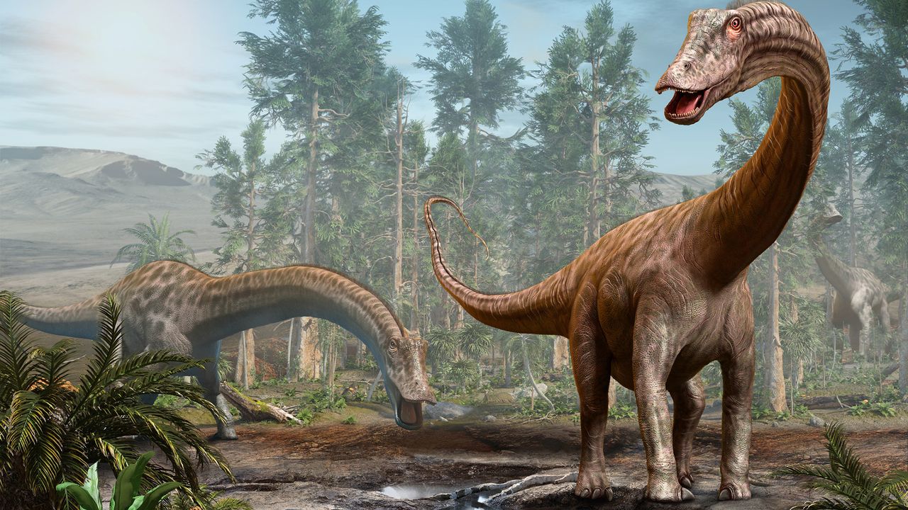 Fossils of iconic long-necked dinosaur Diplodocus found in Europe for first time — and it may have traveled there via land bridge