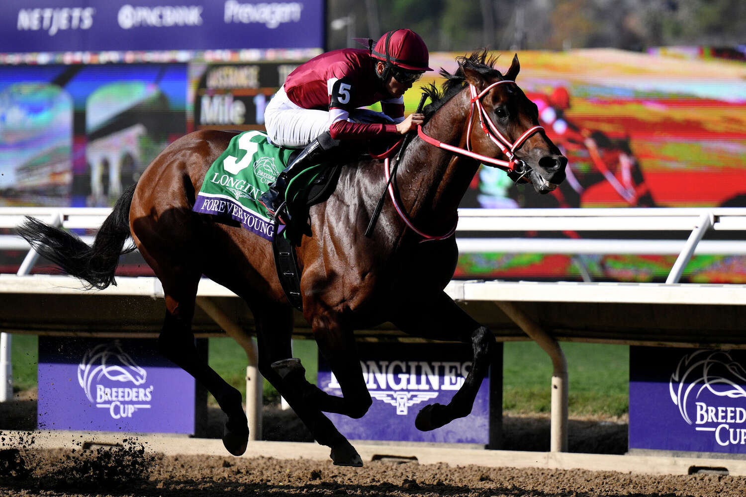 Forever Young or another challenger? Here's why every horse can win Friday's Jockey Club Gold Cup