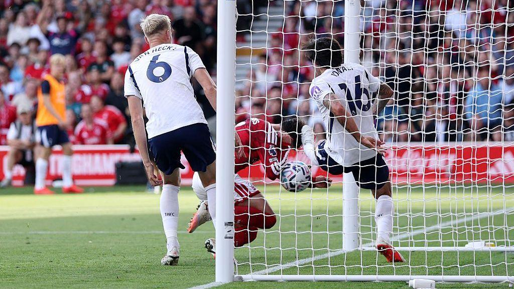 Williams handball against Spurs was conclusive - Webb