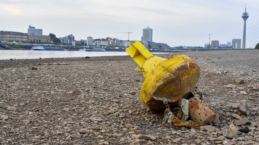 Heat: Low water on the Rhine: Demand for task force