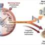 Drought-flood alternation under climate change