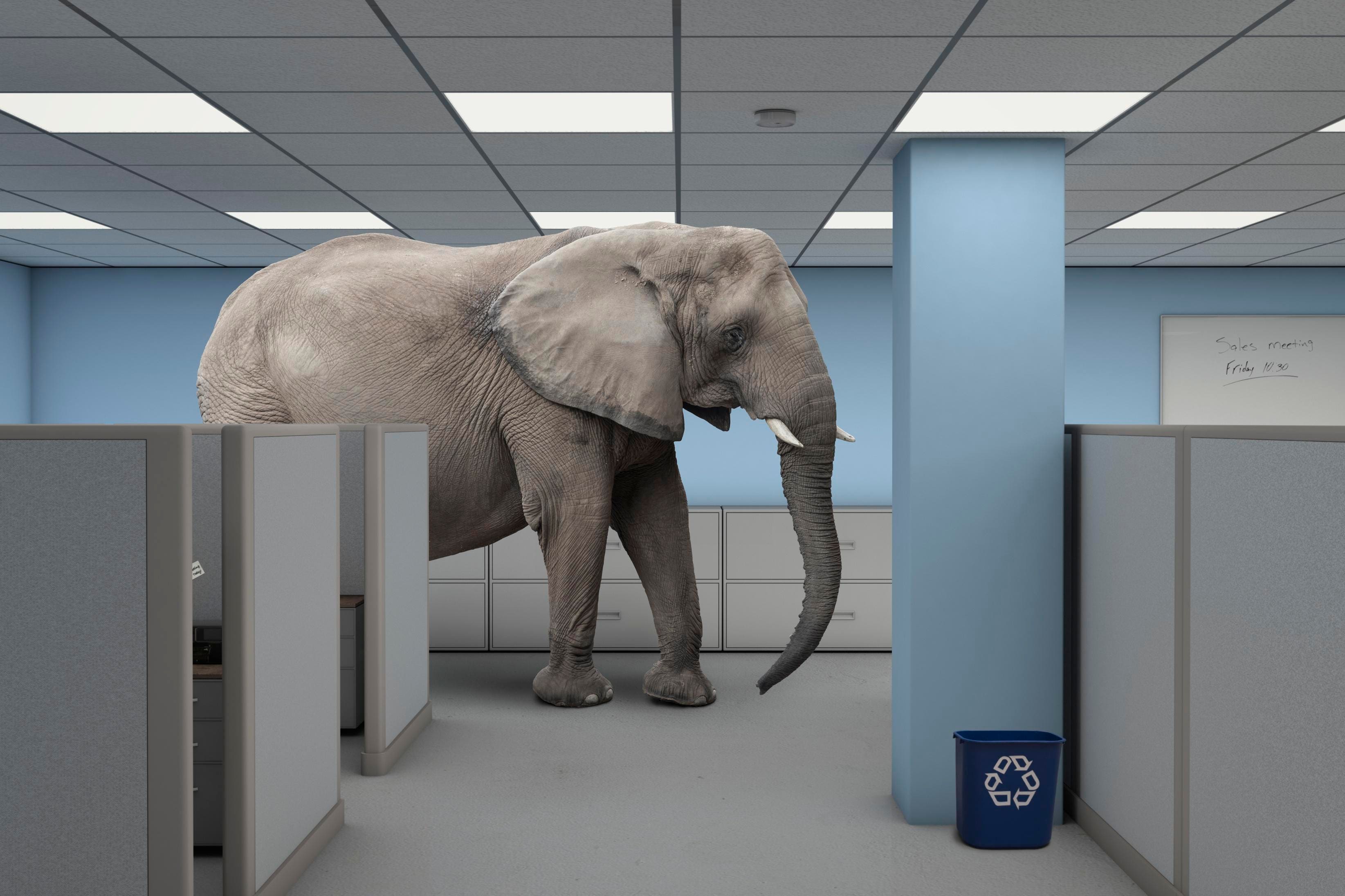 Communication Problems: Why Employees Miss What Seems Obvious
