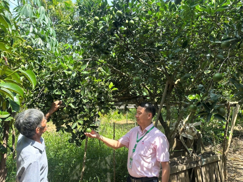 Beyond loans veterans turn capital into sustainable livelihoods