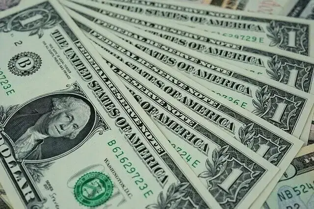 Rupee records gain against US dollar