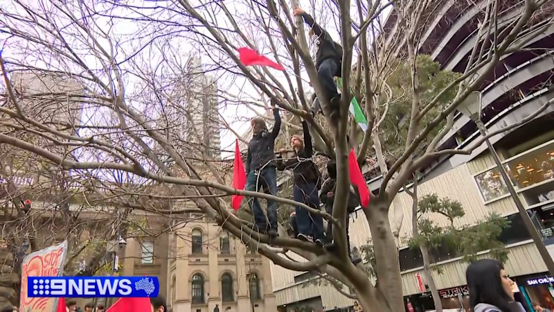 Thousands of students walk out of class to protest against Pauline Hanson