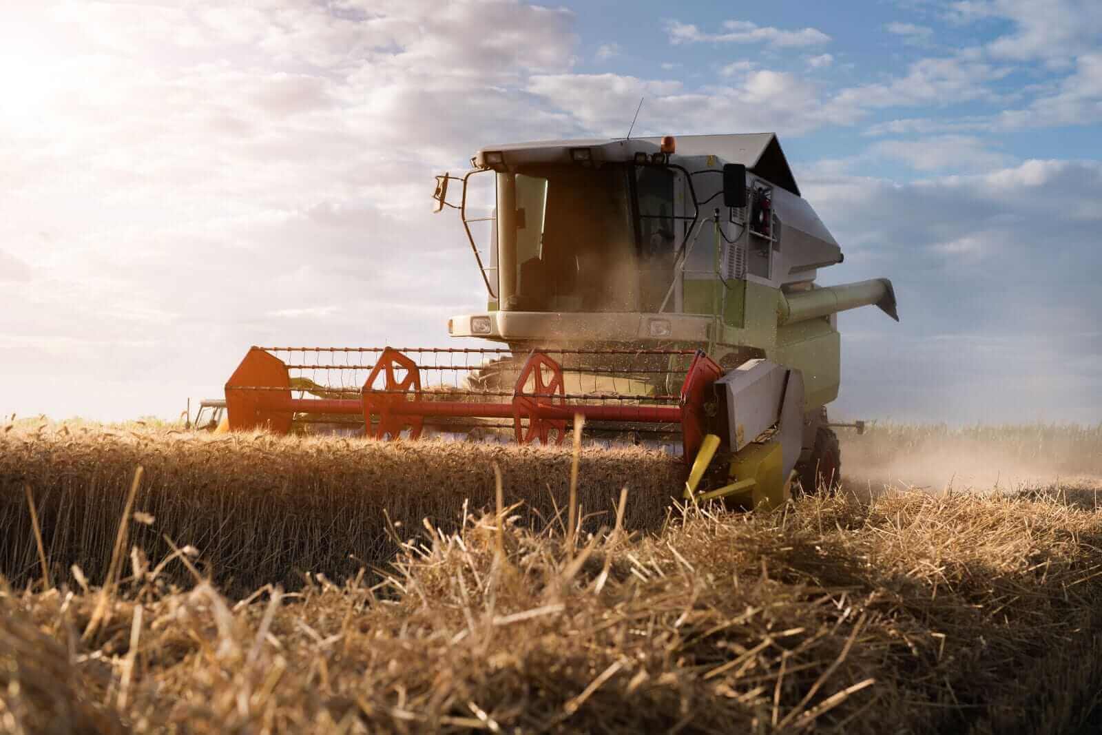 Wheat Showing Mixed Early Trade on Monday