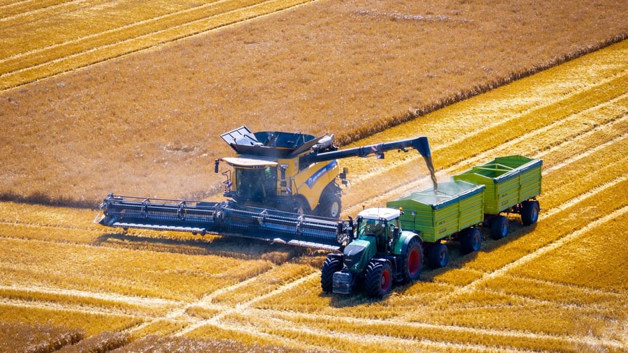 Agriculture: "Grain burning": Drought reduces harvest 2026