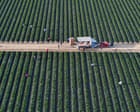 California bans paraquat, highly toxic herbicide outlawed in more than 70 countries