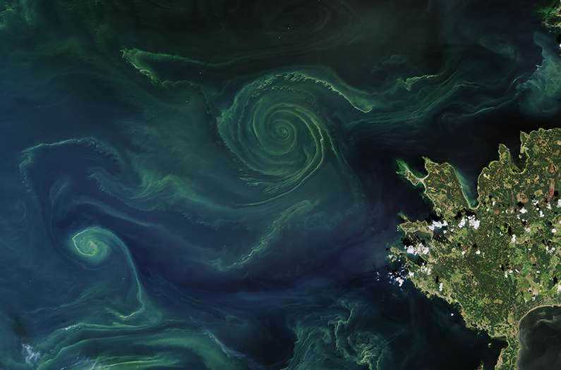 Scientists found the sweet spot for dumping iron into the ocean