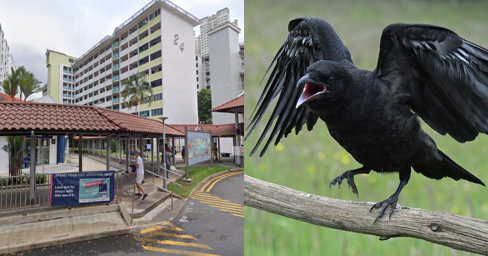Man, 59, uses makeshift crossbow to shoot metal balls at crows in Tiong Bahru, damages HDB flat windows