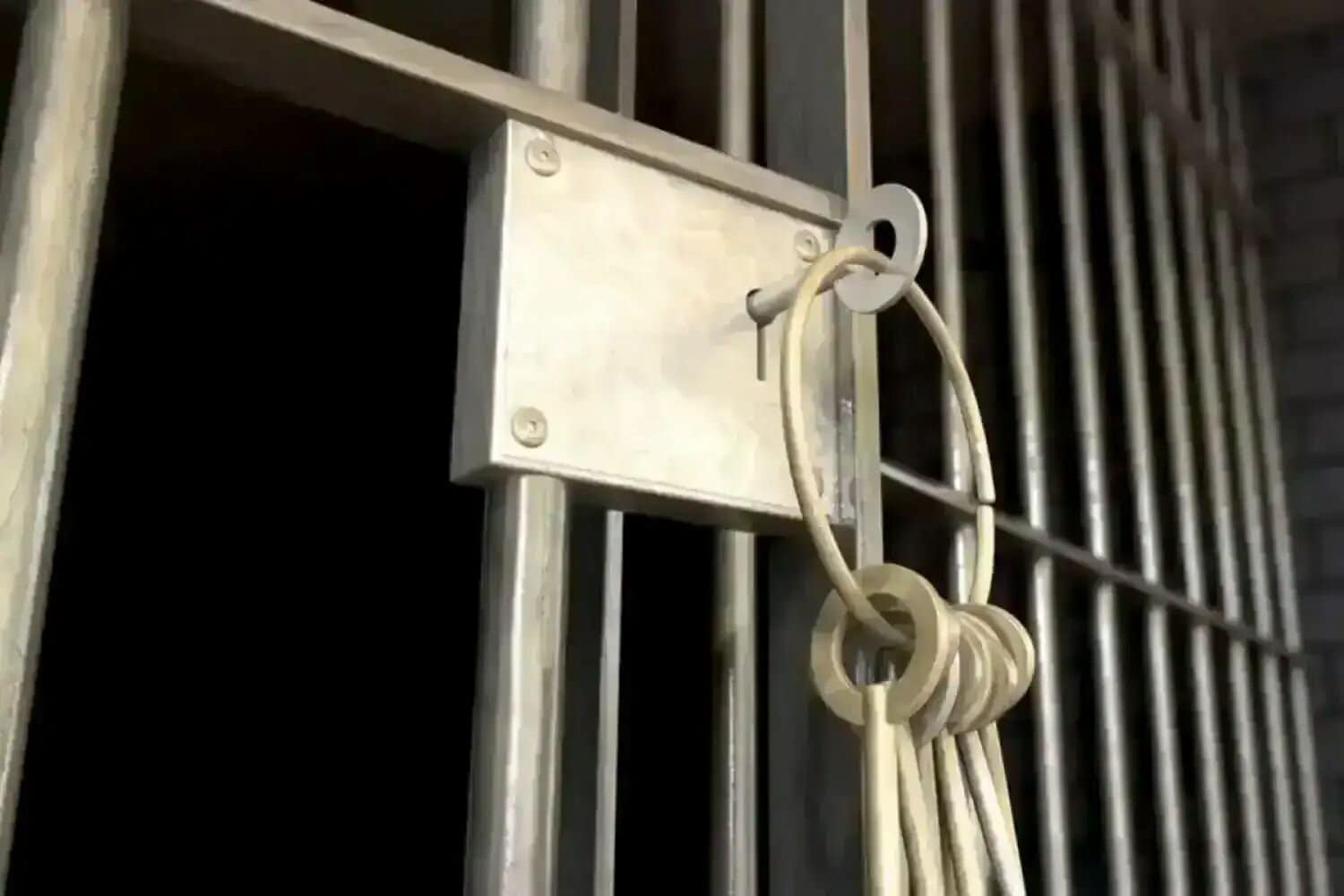 Farmer jailed for life over cold‑blooded murder