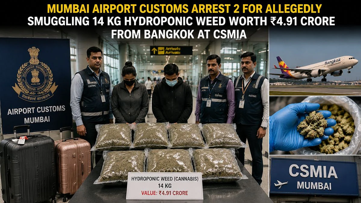 Mumbai Airport Customs Arrest 2 For Allegedly Smuggling 14 Kg Hydroponic Weed Worth ₹4.91 Crore From Bangkok At CSMIA