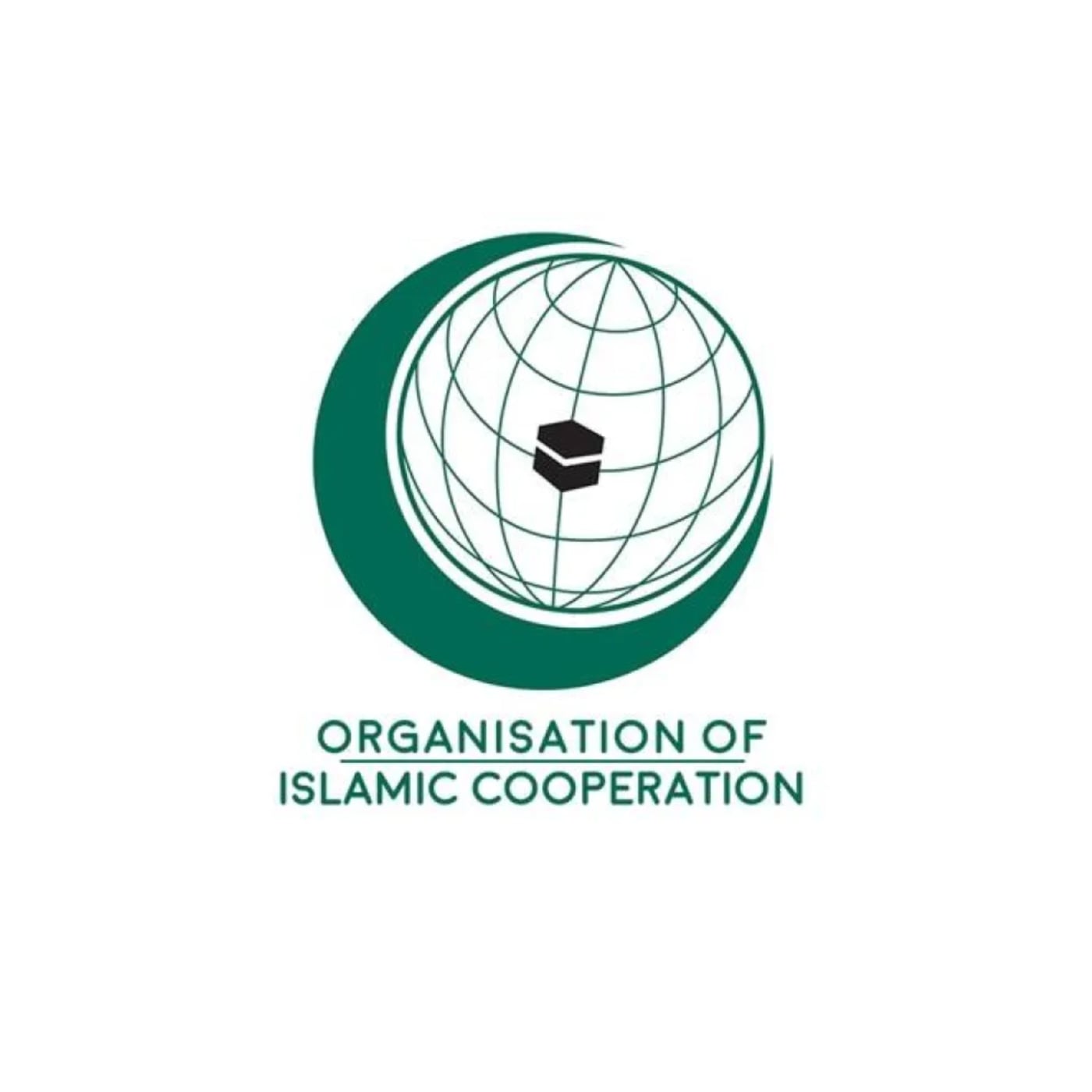 War: OIC reacts as Houthi forces attack holy city of Mecca