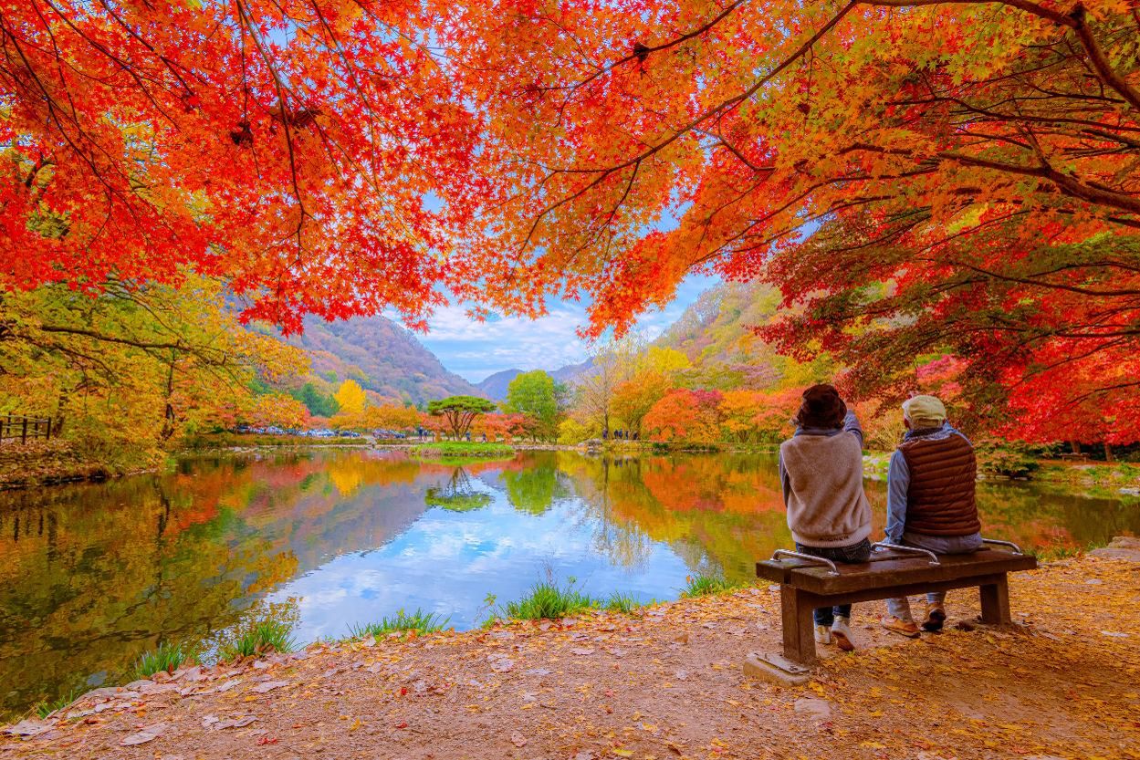 Korea Tourism Organization's autumn travel campaign can lower your travel cost