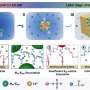 Protein-like nanoparticles sort themselves inside growing crystals, enabling controlled release