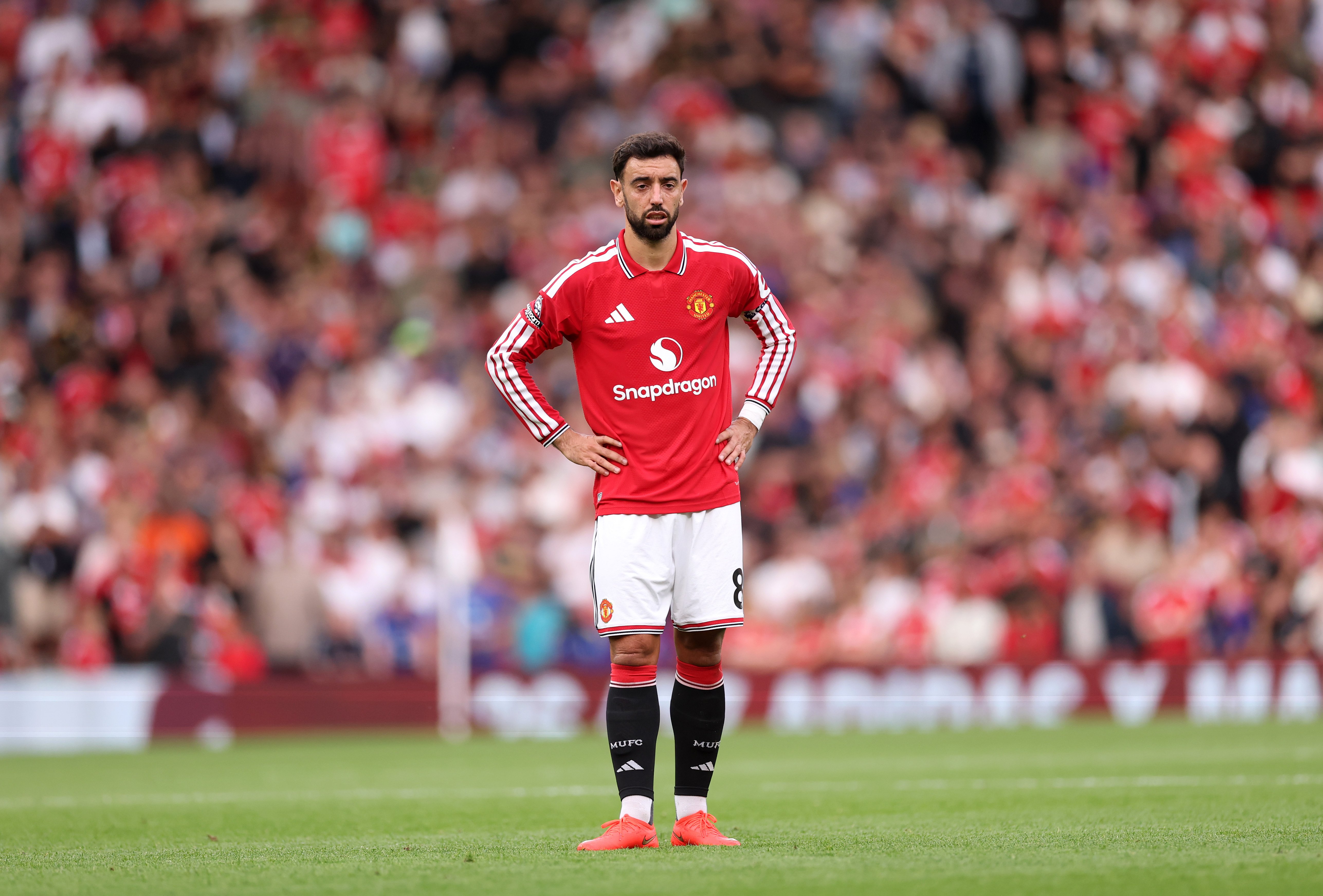 How to watch Manchester United vs. Brighton online for free