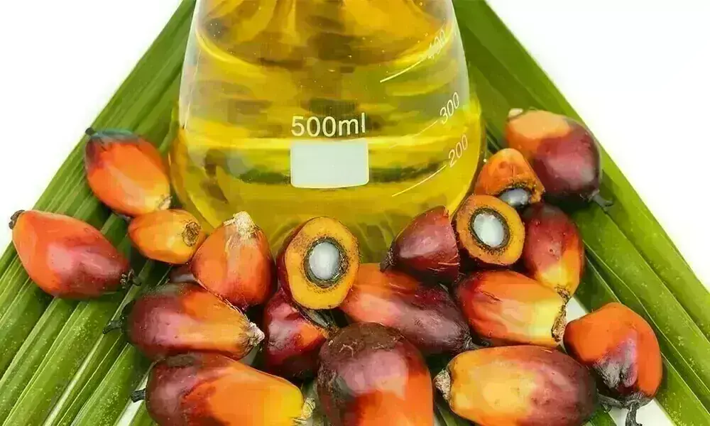 Malaysian palm oil rises, tracking Dalian
