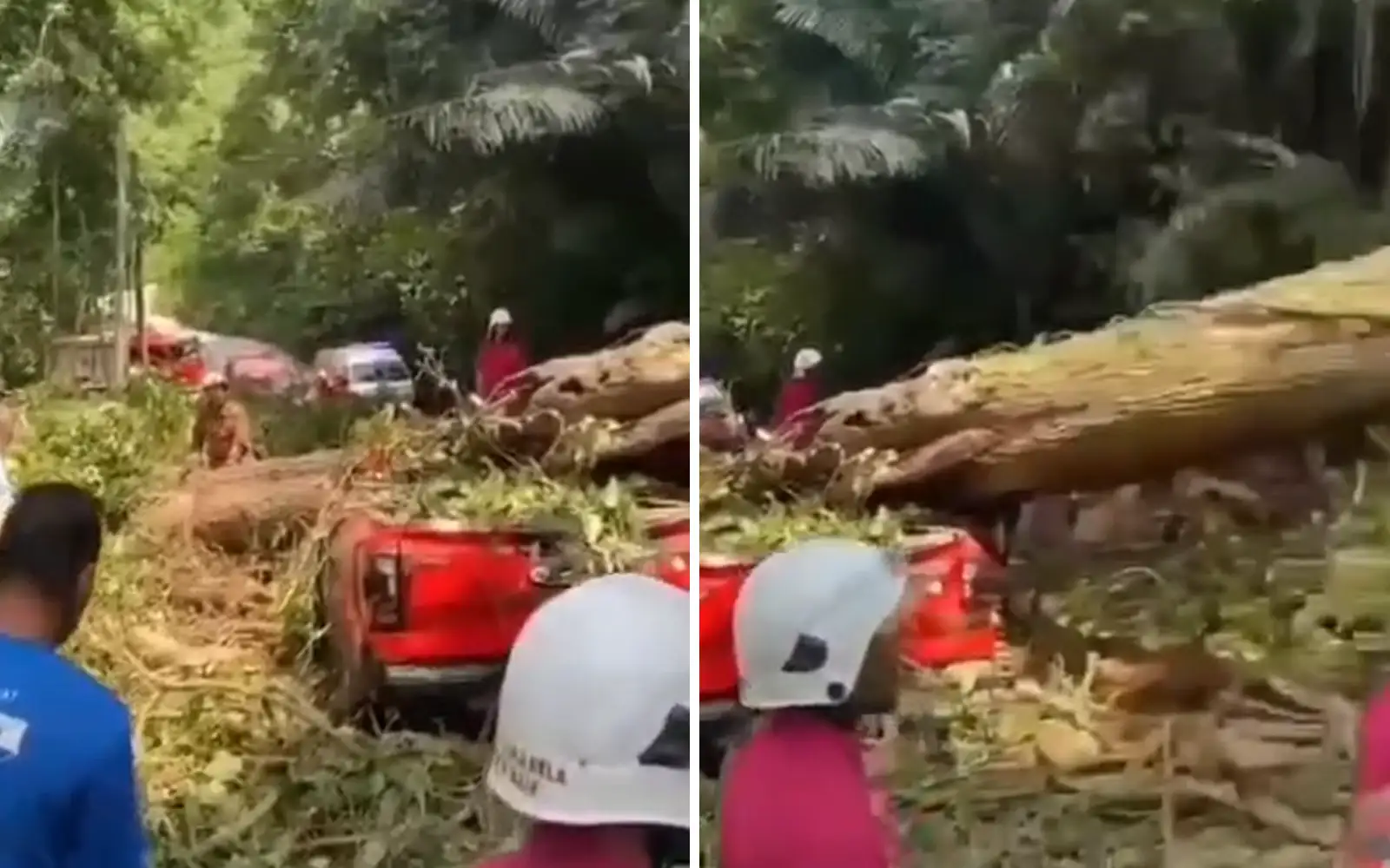 4 killed, child injured after tree crushes vehicle in Bentong