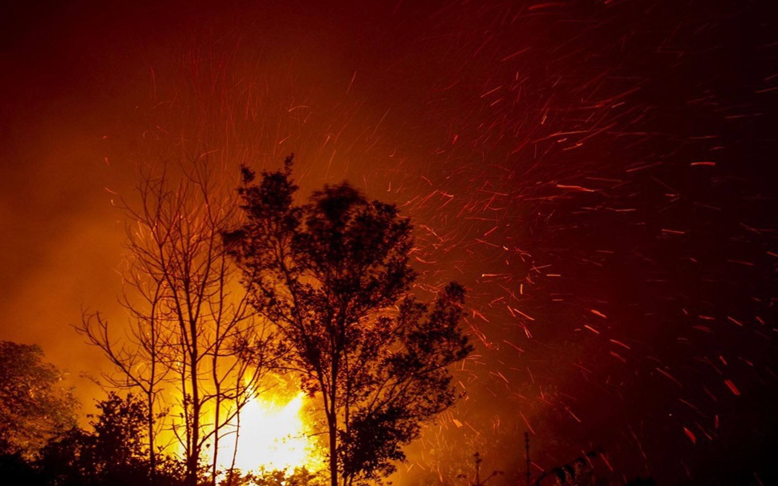 50 firms in Indonesia sealed off over forest, land fires