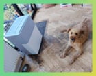 Do I really need air conditioning in the UK? The best portable aircon tested – plus the pros, cons and alternatives
