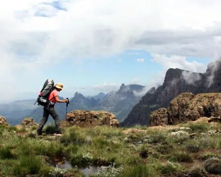A hike through the woods feels natural. It’s anything but.