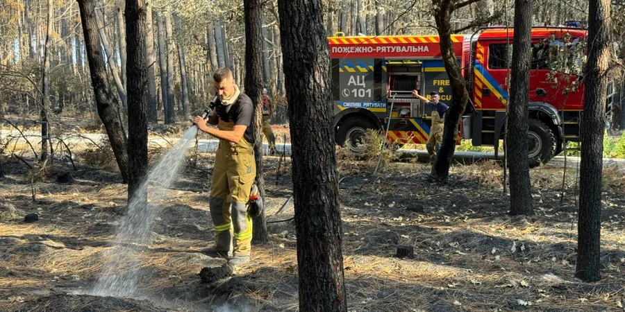 Ukrainian rescuers join fight against massive Bordeaux wildfire