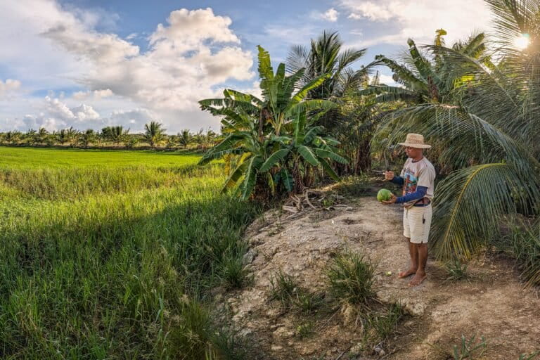 Land rights and mangroves entwine in a Brazilian quilombo’s resistance