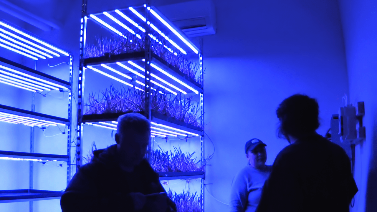 From Oatly to agritech: inside Sweden’s evolving foodtech ecosystem