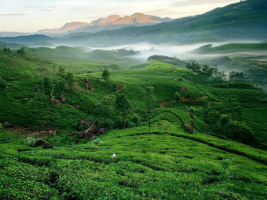 Kerala to Cristiano Ronaldo and Georgina Rodríguez: How about a honeymoon in God's Own Country?