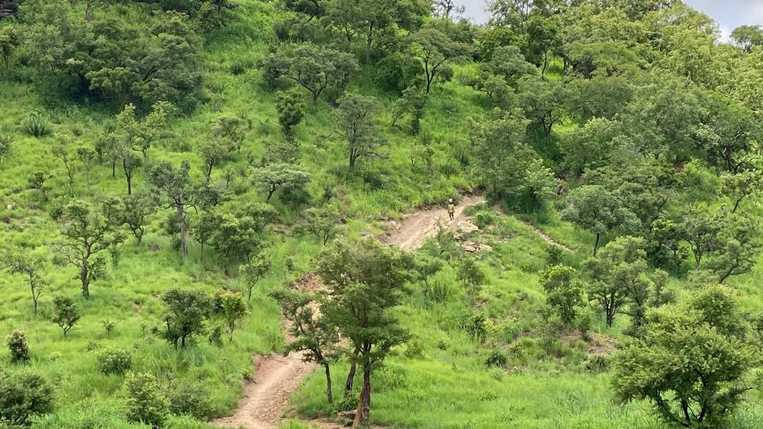 NER: Youth of Gubiou, Saam-Ni construct road through mountains to avoid being cut off from civilisation