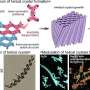 Spring-like porous crystals could enable chemically responsive microscale materials