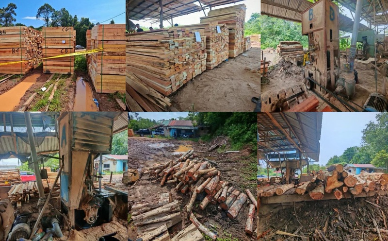 4 held, RM600k in timber, machinery seized in Kelantan raid