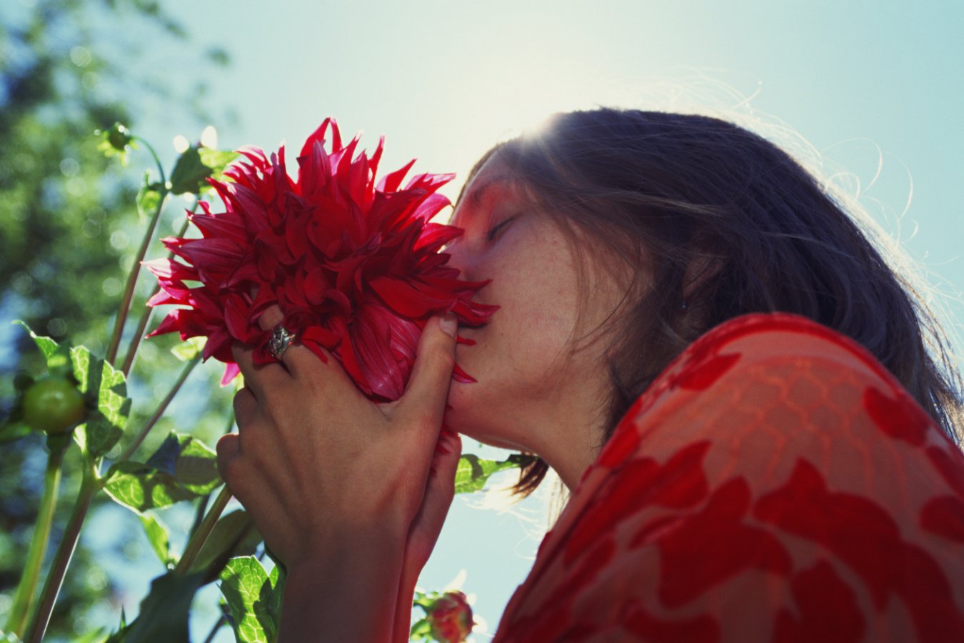Do olfactory illusions exist, similar to optical and audio illusions?