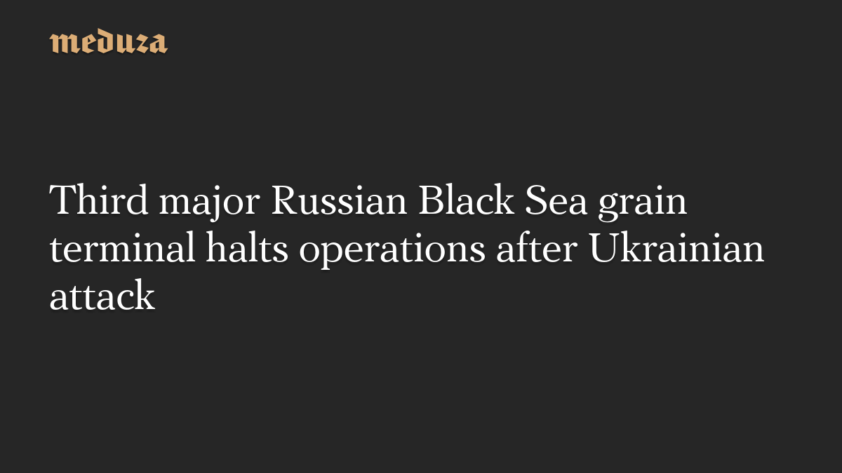 Third major Russian Black Sea grain terminal halts operations after Ukrainian attack