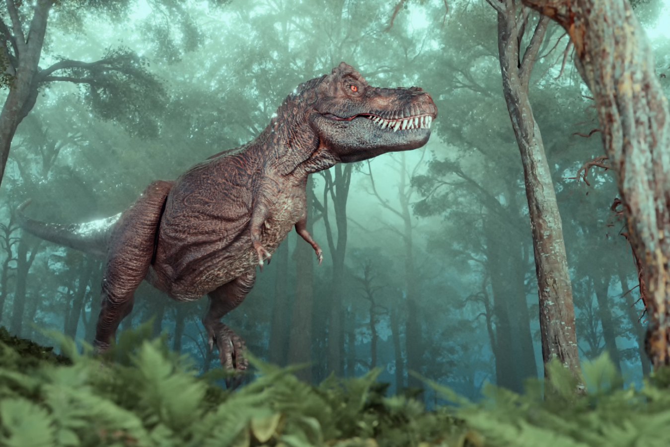 T. rex teeth show the enormous predatory dinosaur was warm-blooded