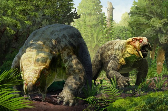 The Ancient Mammal That Changes Our Understanding of Dinosaur Origins