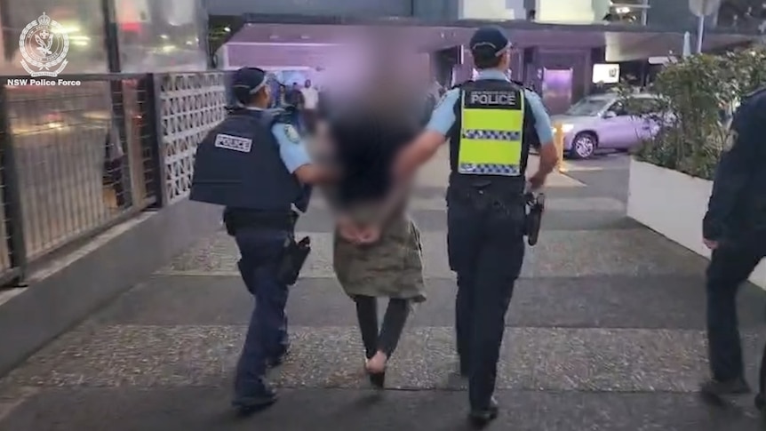 Two men arrested after fake gun incident in Sydney's east