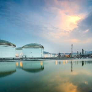 Container shipping fuel prices remain elevated as supply fears ease
